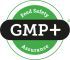 logo GMP